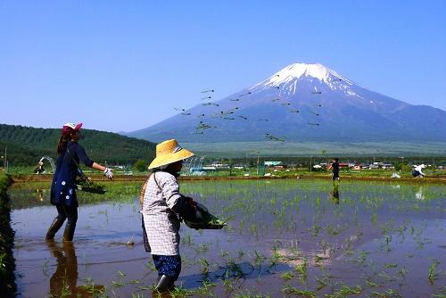 作品名「そらとぶなえ」撮影者「おざわひろしさん」神奈川県小田原市